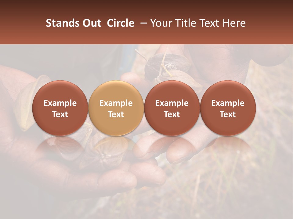 Aboriginal Tucker Edith River PowerPoint Template