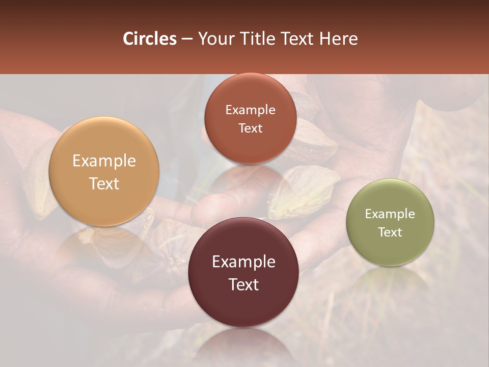 Aboriginal Tucker Edith River PowerPoint Template