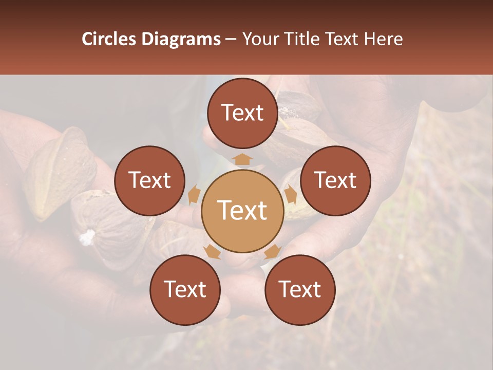 Aboriginal Tucker Edith River PowerPoint Template