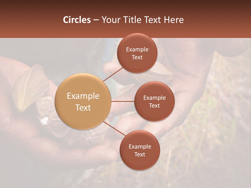 Aboriginal Tucker Edith River PowerPoint Template