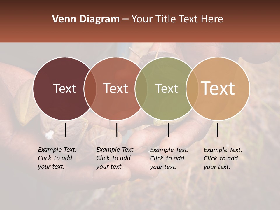 Aboriginal Tucker Edith River PowerPoint Template