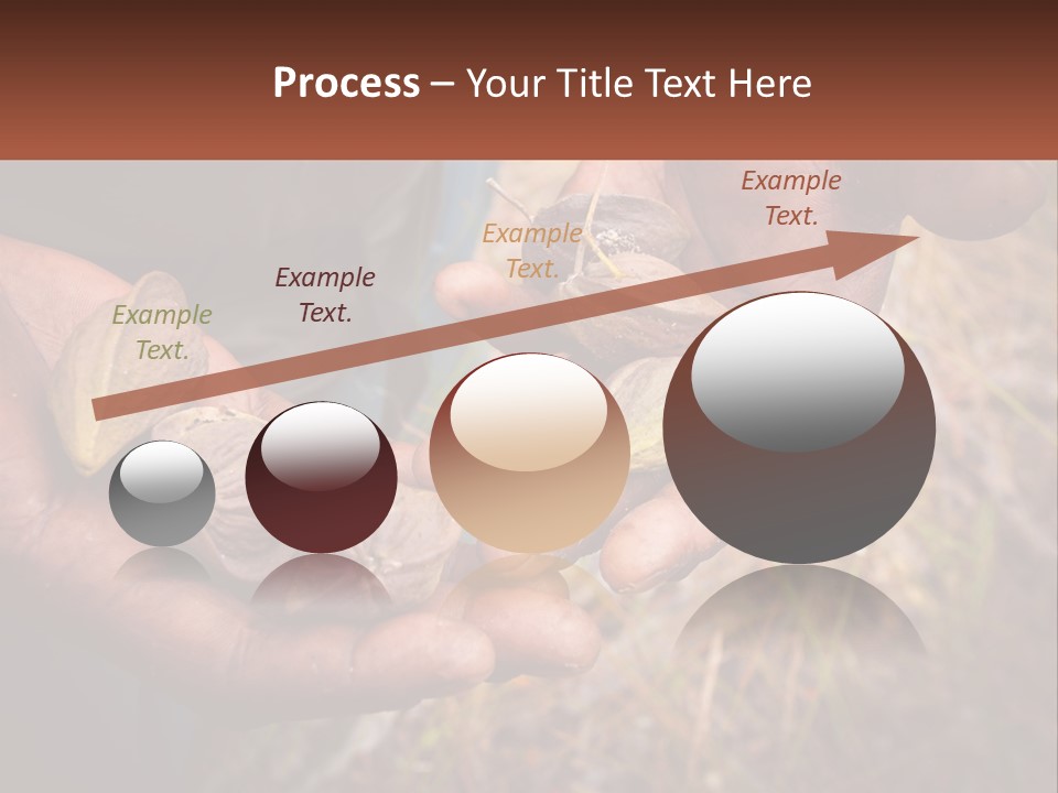 Aboriginal Tucker Edith River PowerPoint Template