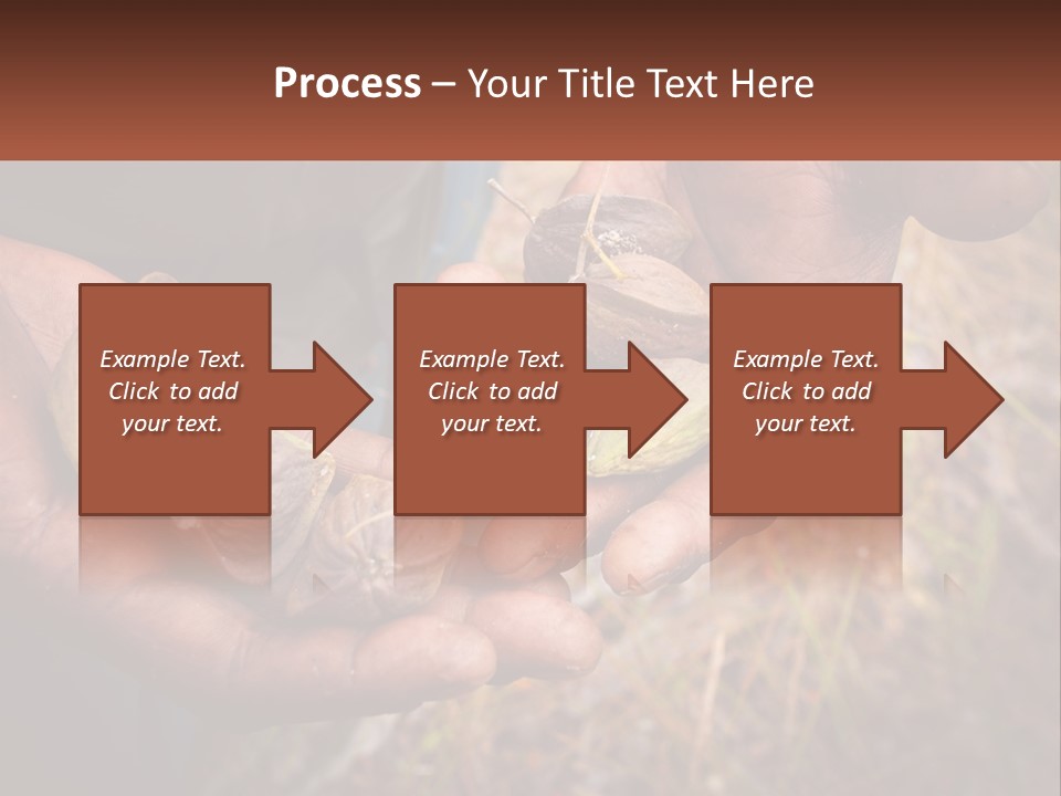 Aboriginal Tucker Edith River PowerPoint Template
