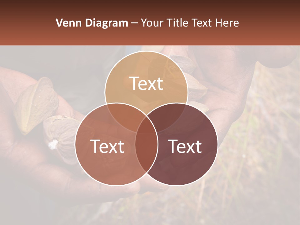 Aboriginal Tucker Edith River PowerPoint Template