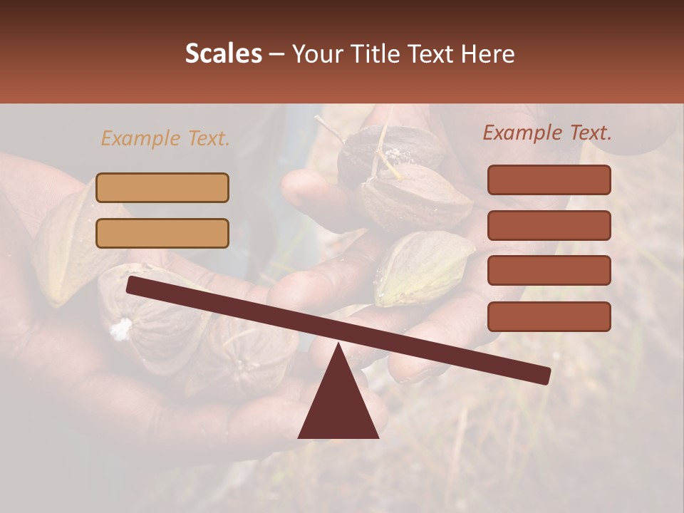 Aboriginal Tucker Edith River PowerPoint Template