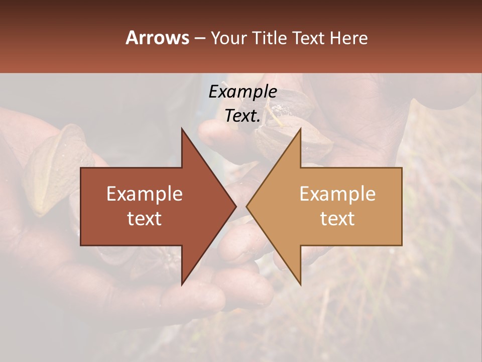 Aboriginal Tucker Edith River PowerPoint Template