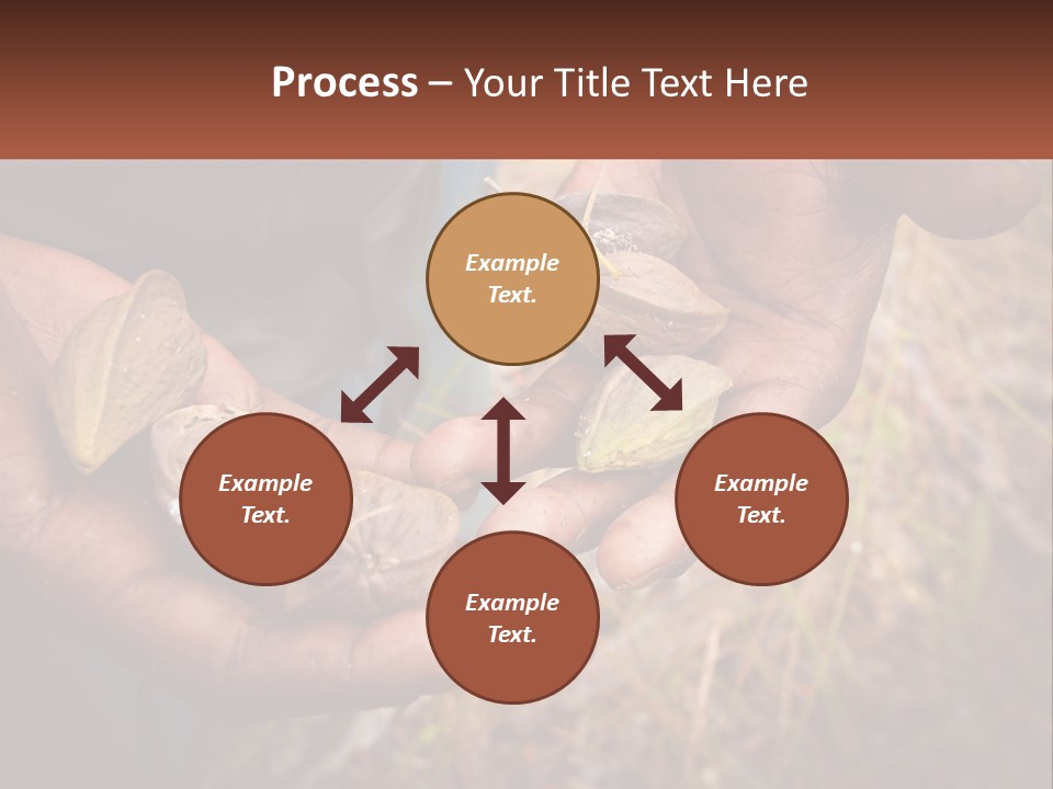 Aboriginal Tucker Edith River PowerPoint Template