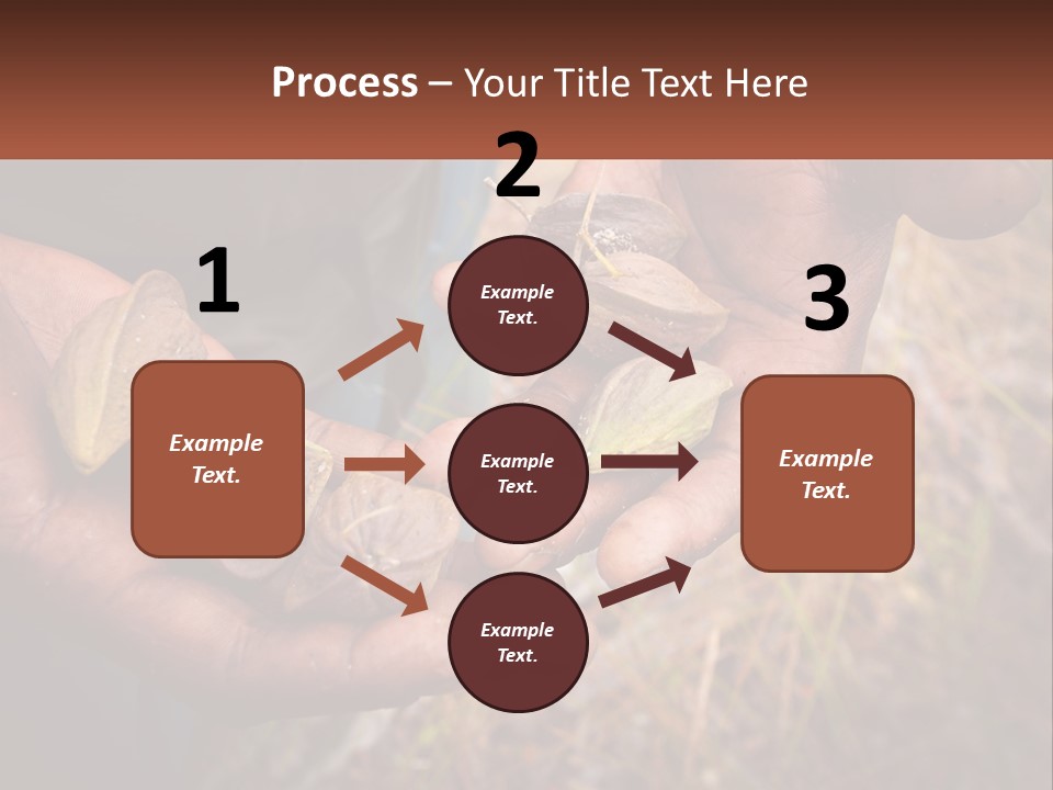 Aboriginal Tucker Edith River PowerPoint Template
