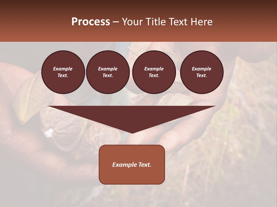 Aboriginal Tucker Edith River PowerPoint Template