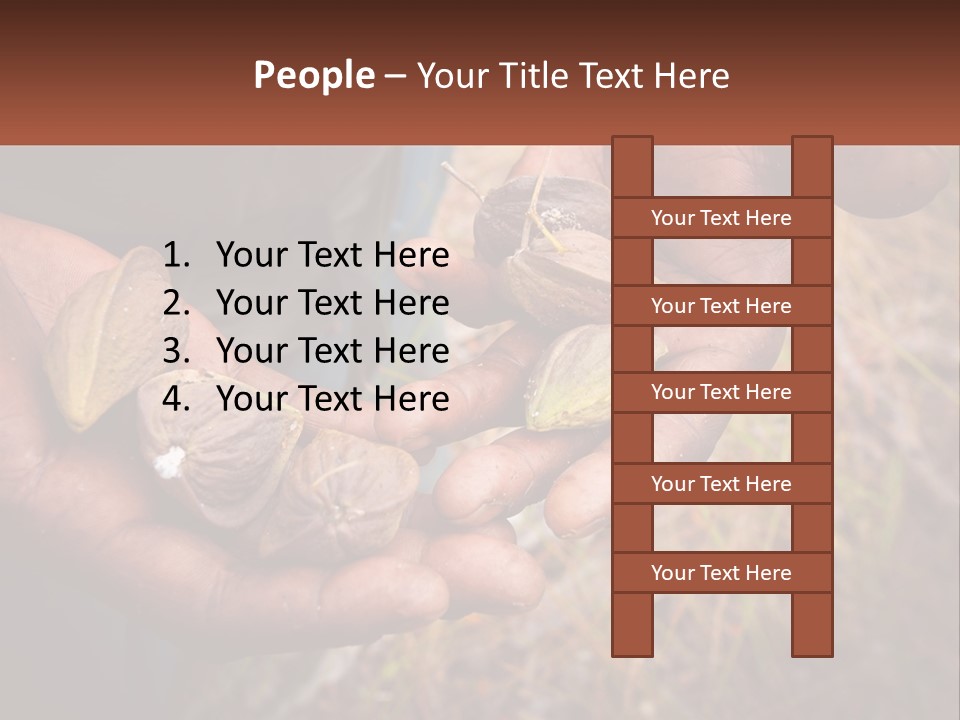 Aboriginal Tucker Edith River PowerPoint Template