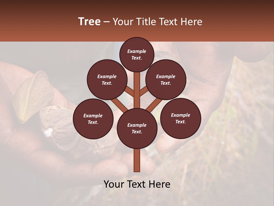 Aboriginal Tucker Edith River PowerPoint Template