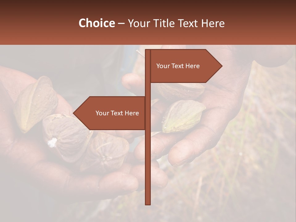 Aboriginal Tucker Edith River PowerPoint Template