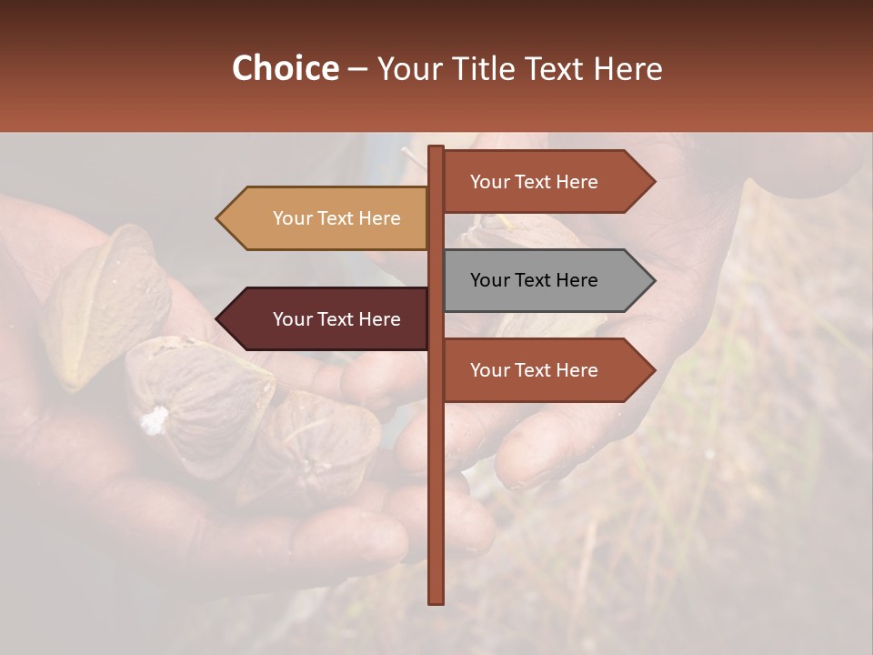 Aboriginal Tucker Edith River PowerPoint Template