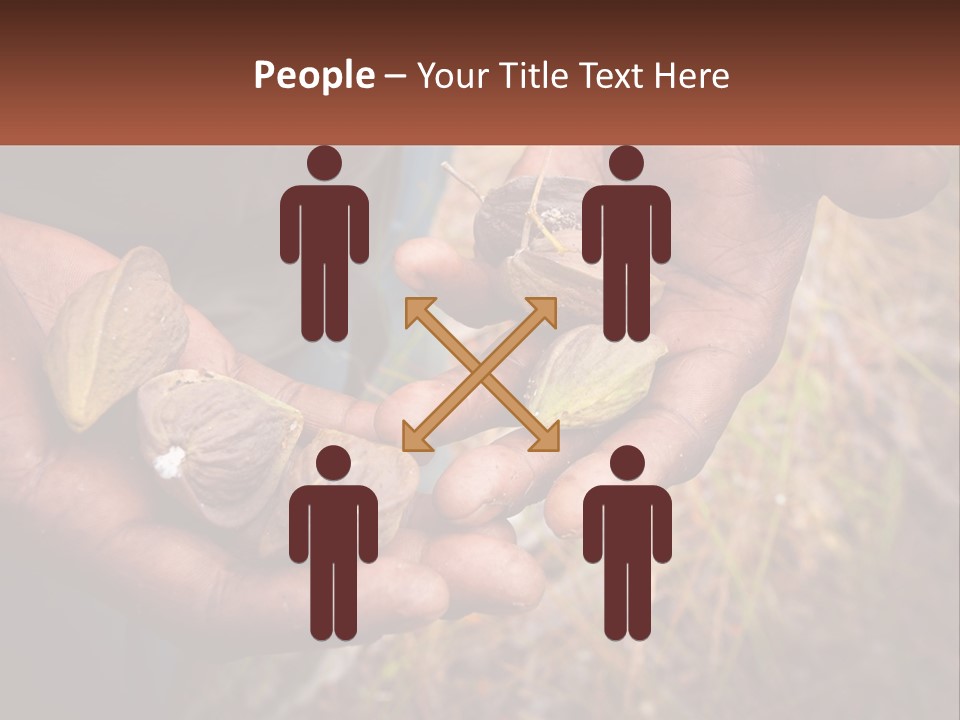 Aboriginal Tucker Edith River PowerPoint Template