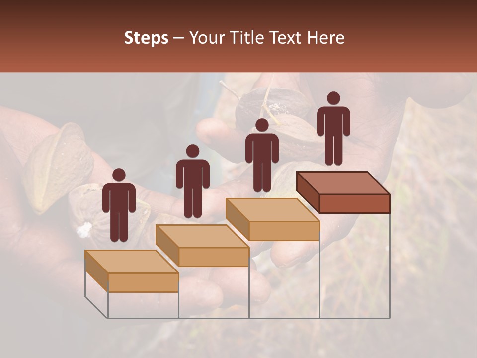 Aboriginal Tucker Edith River PowerPoint Template