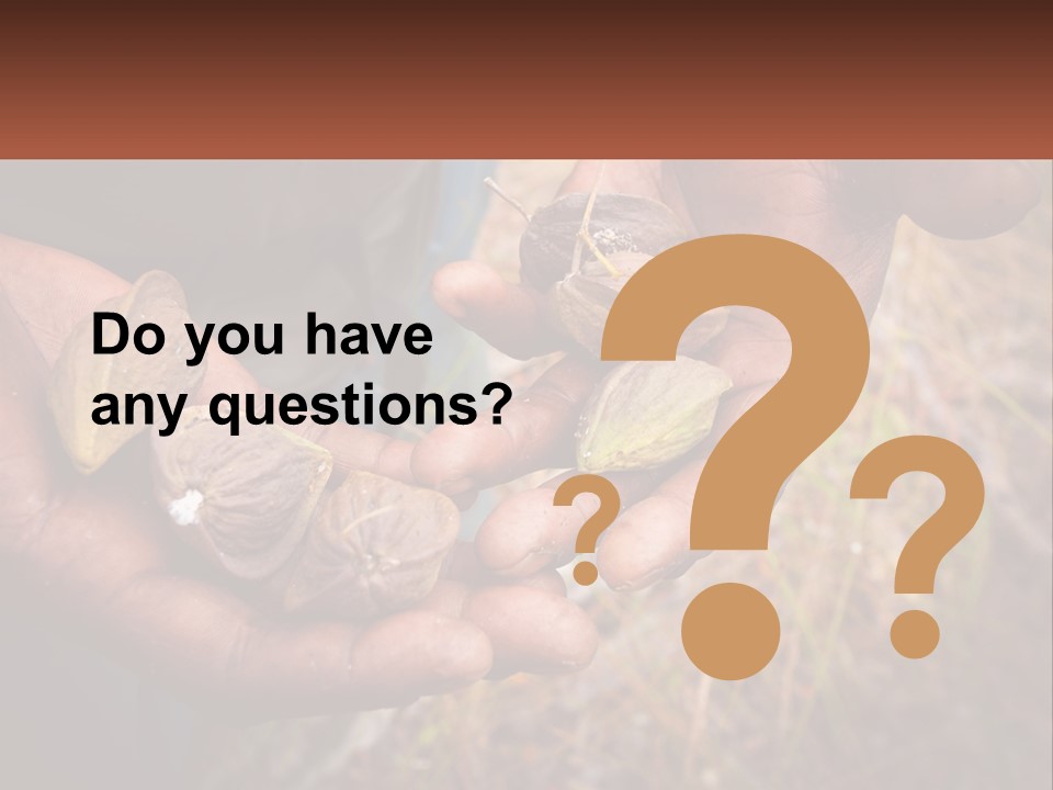 Aboriginal Tucker Edith River PowerPoint Template