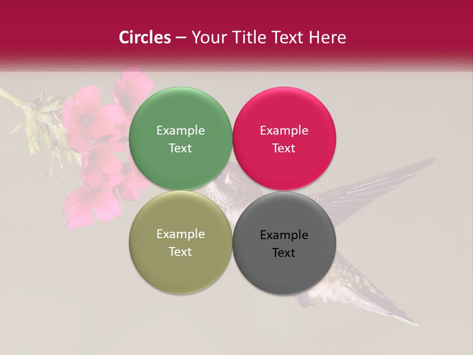 Archilochus Humming Hummingbird PowerPoint Template