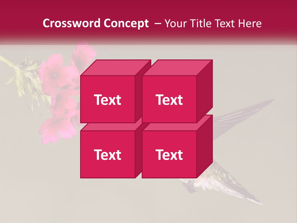 Archilochus Humming Hummingbird PowerPoint Template