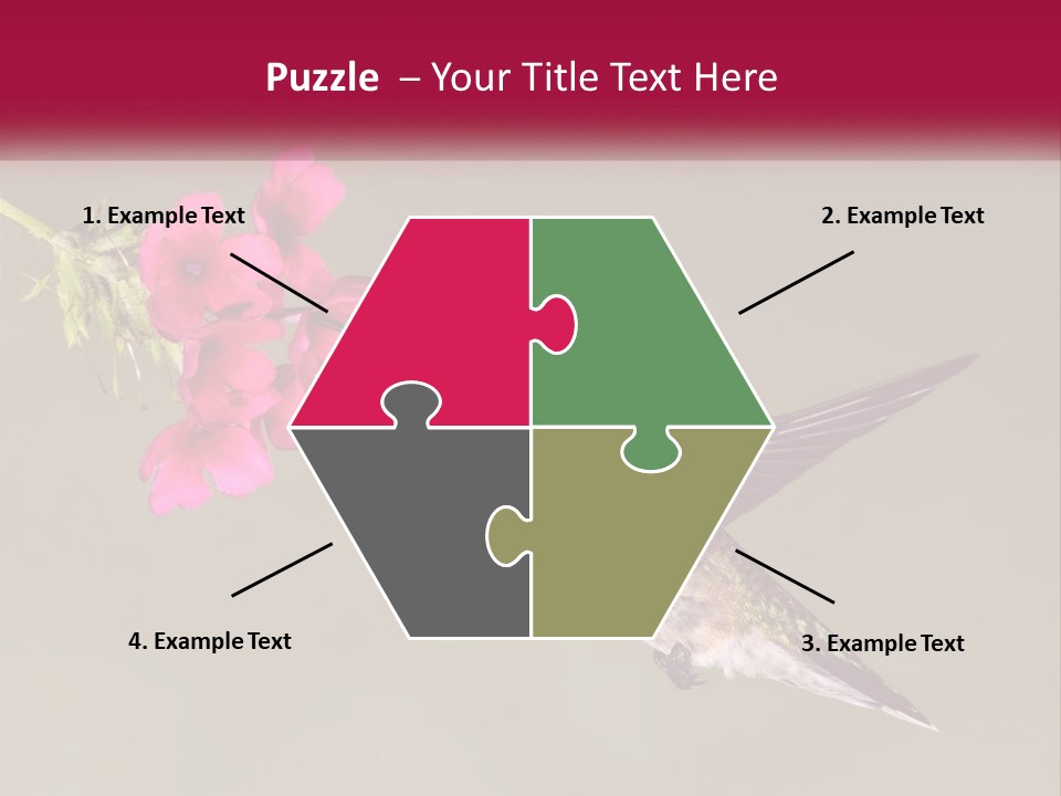 Archilochus Humming Hummingbird PowerPoint Template