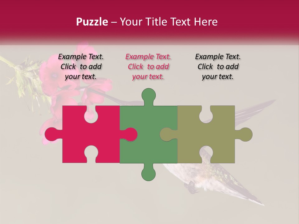 Archilochus Humming Hummingbird PowerPoint Template