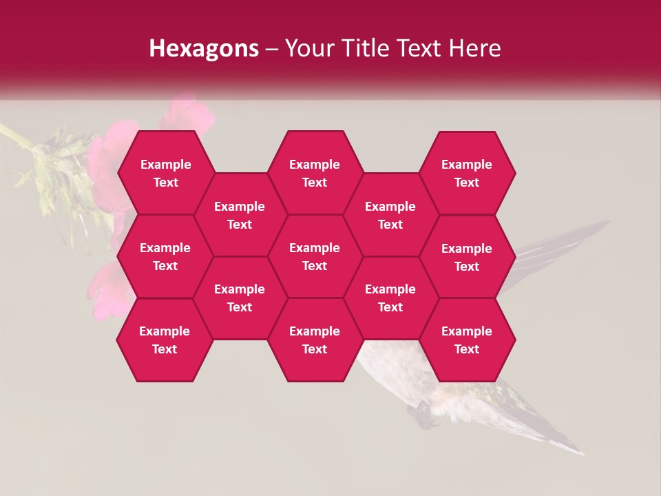 Archilochus Humming Hummingbird PowerPoint Template
