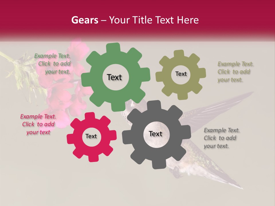 Archilochus Humming Hummingbird PowerPoint Template