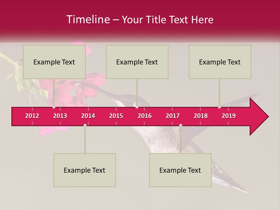 Archilochus Humming Hummingbird PowerPoint Template