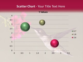 Archilochus Humming Hummingbird PowerPoint Template