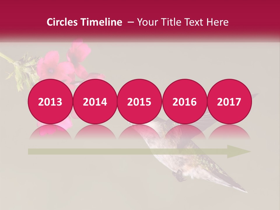 Archilochus Humming Hummingbird PowerPoint Template