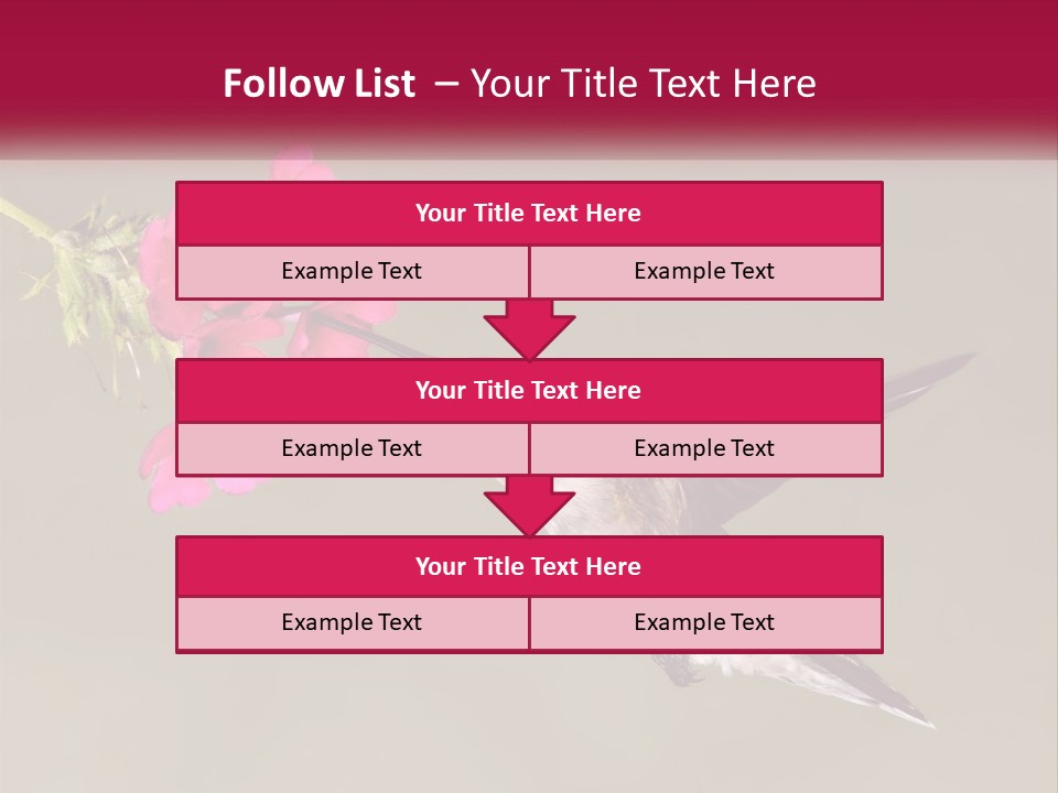 Archilochus Humming Hummingbird PowerPoint Template