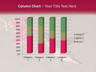 Archilochus Humming Hummingbird PowerPoint Template