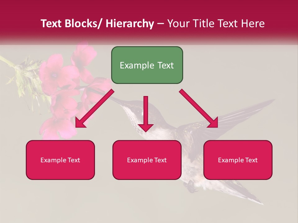 Archilochus Humming Hummingbird PowerPoint Template