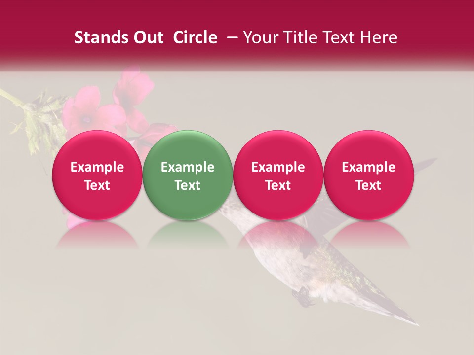 Archilochus Humming Hummingbird PowerPoint Template