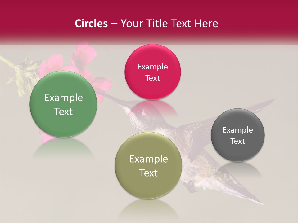 Archilochus Humming Hummingbird PowerPoint Template