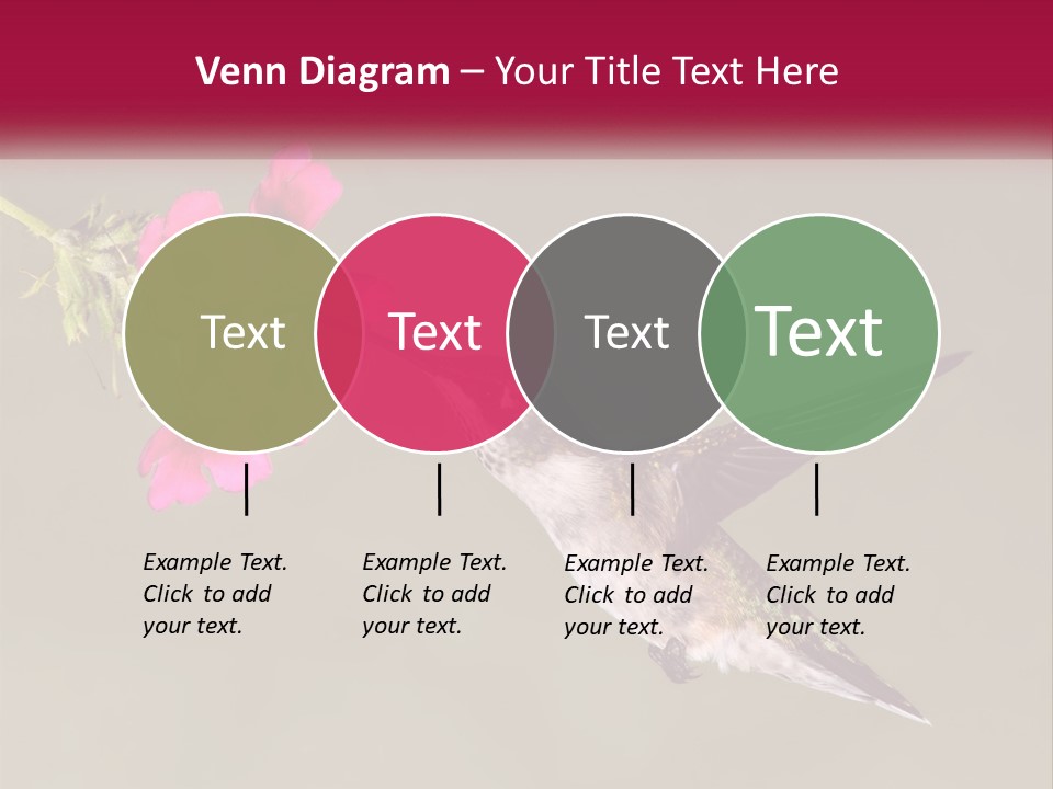 Archilochus Humming Hummingbird PowerPoint Template