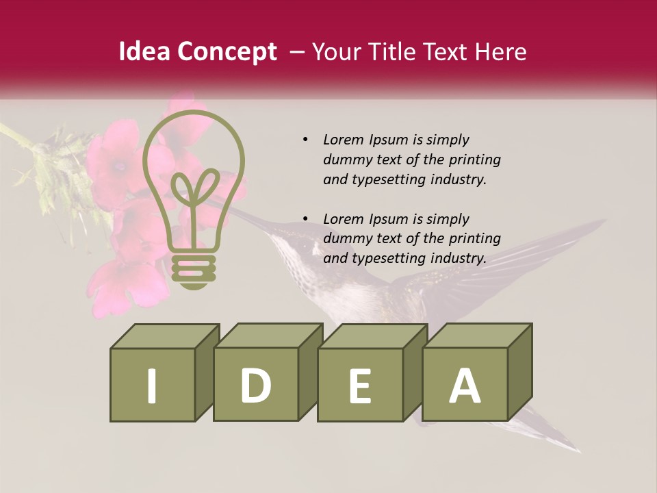 Archilochus Humming Hummingbird PowerPoint Template