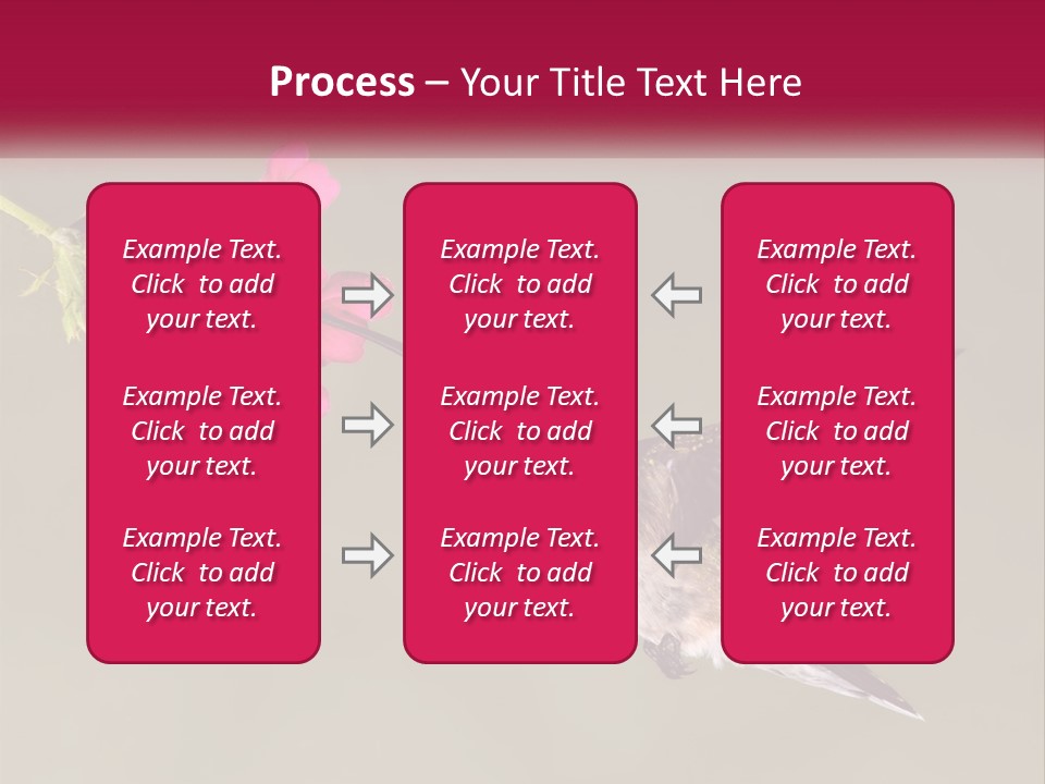 Archilochus Humming Hummingbird PowerPoint Template