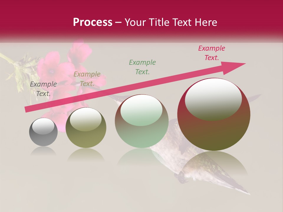 Archilochus Humming Hummingbird PowerPoint Template