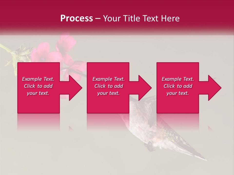 Archilochus Humming Hummingbird PowerPoint Template