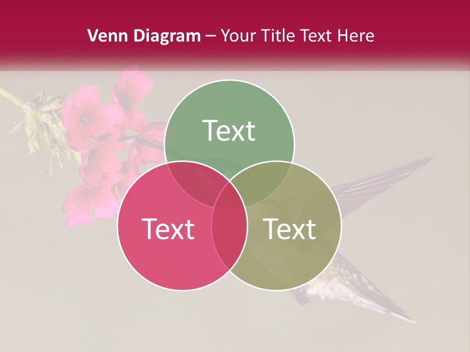 Archilochus Humming Hummingbird PowerPoint Template