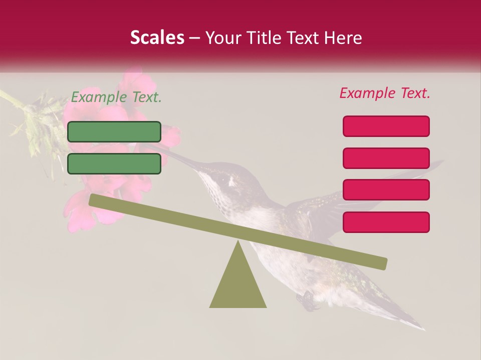 Archilochus Humming Hummingbird PowerPoint Template