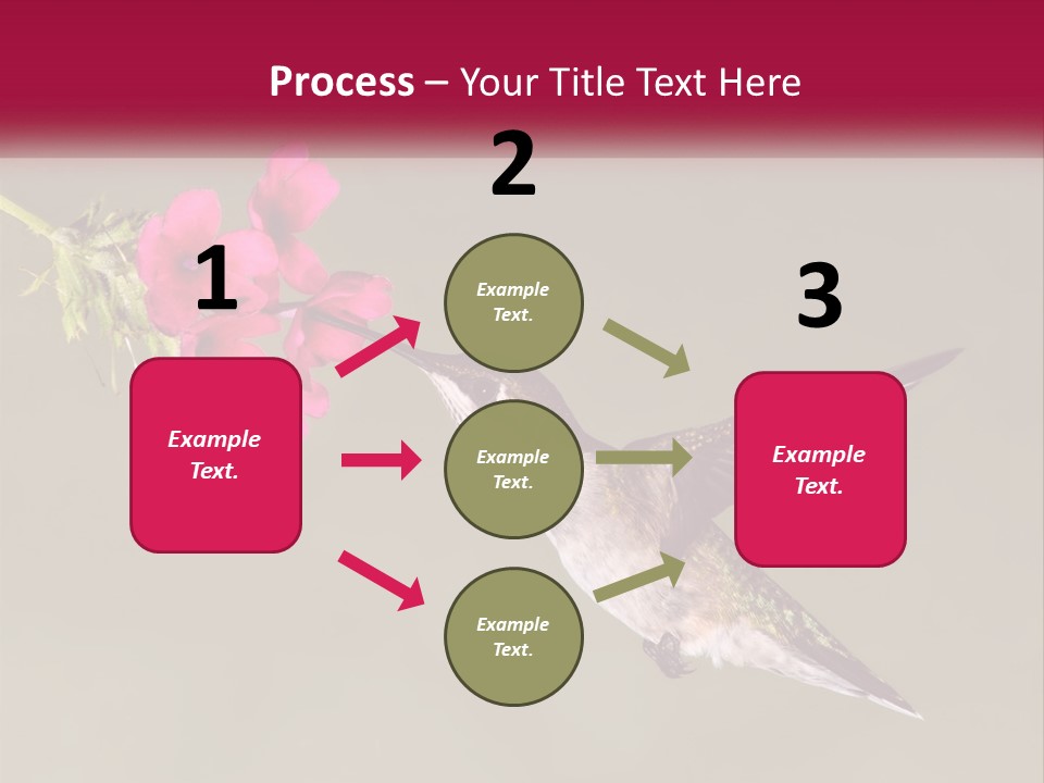 Archilochus Humming Hummingbird PowerPoint Template