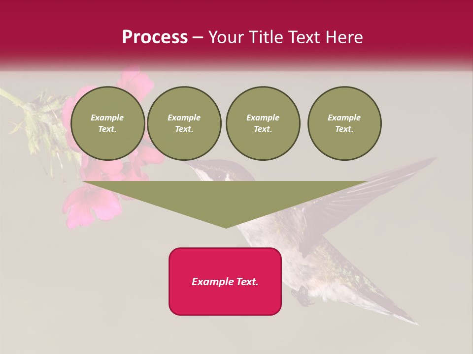 Archilochus Humming Hummingbird PowerPoint Template
