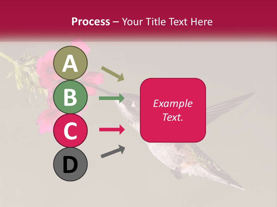 Archilochus Humming Hummingbird PowerPoint Template