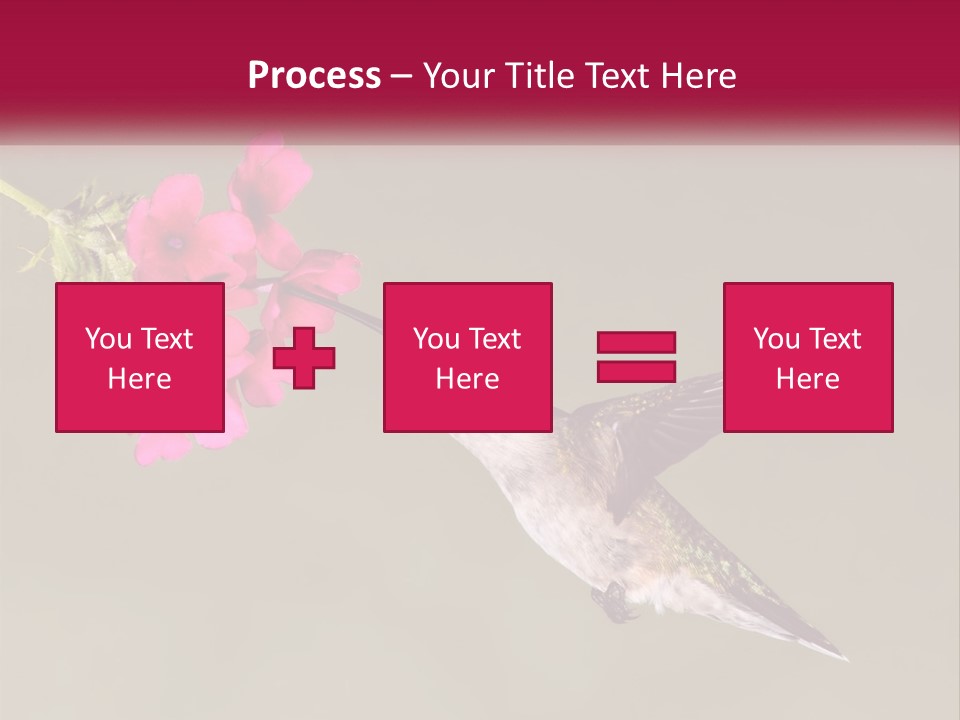 Archilochus Humming Hummingbird PowerPoint Template