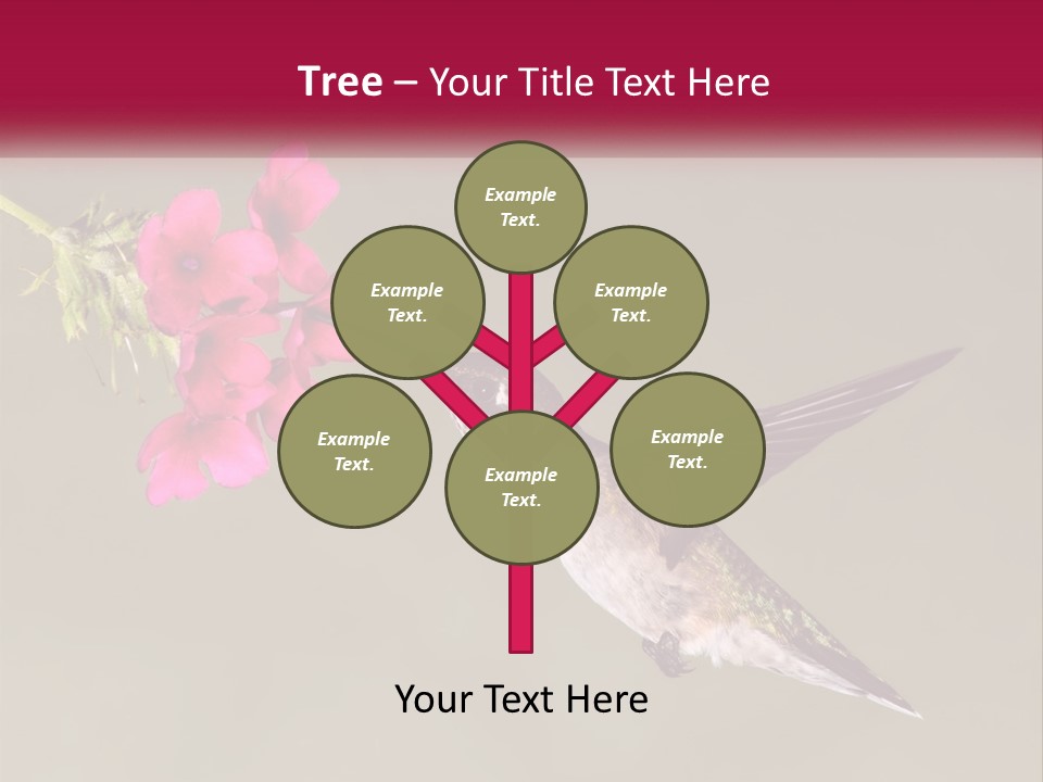 Archilochus Humming Hummingbird PowerPoint Template