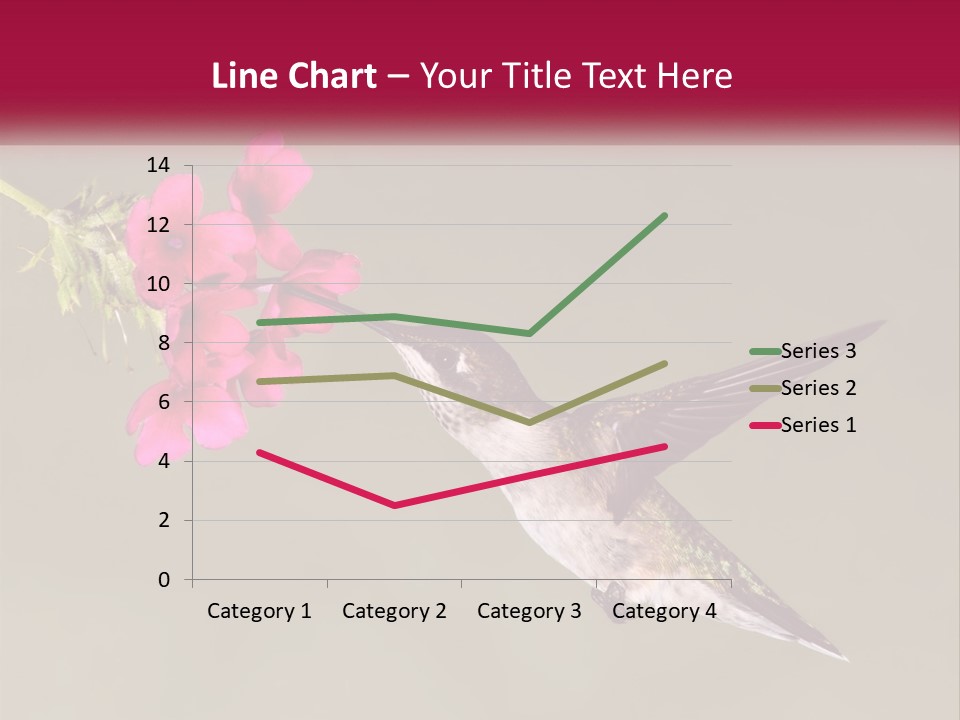Archilochus Humming Hummingbird PowerPoint Template