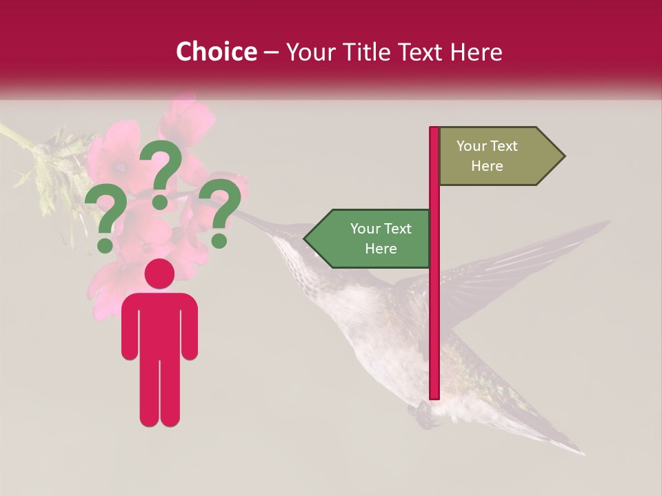 Archilochus Humming Hummingbird PowerPoint Template