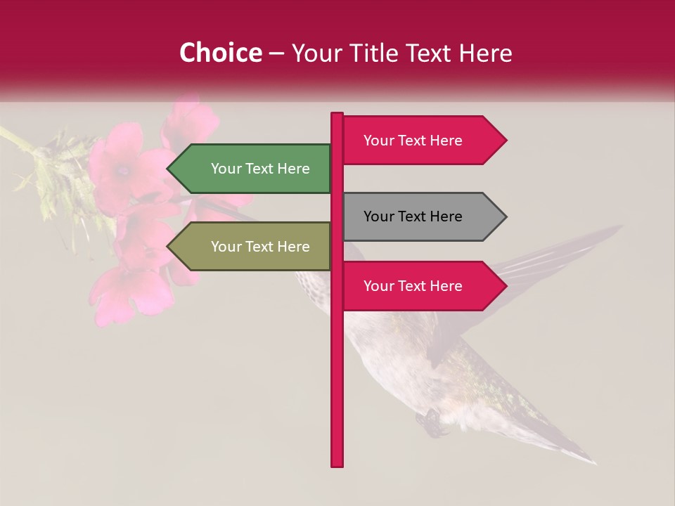 Archilochus Humming Hummingbird PowerPoint Template
