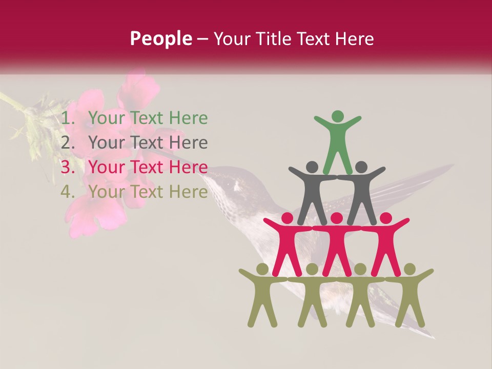 Archilochus Humming Hummingbird PowerPoint Template